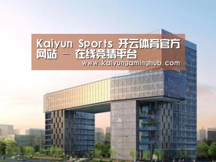 案例展示四
