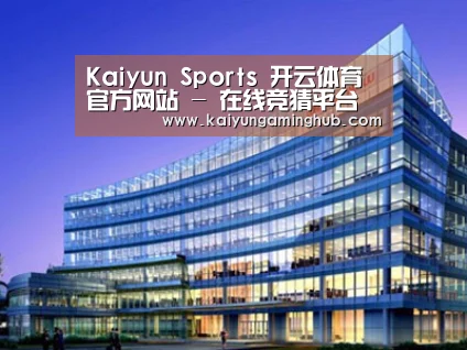 案例展示五
