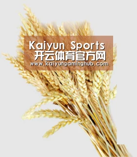 Kaiyun Sports 开云体育官方网站 - 在线竞猜平台