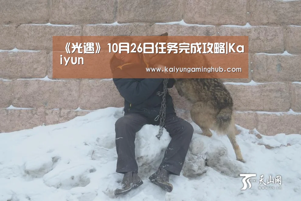 开云竞猜