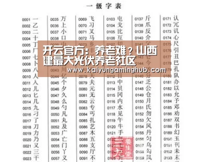 开云官方：养老难？山西建最大光伏养老社区(图2)
